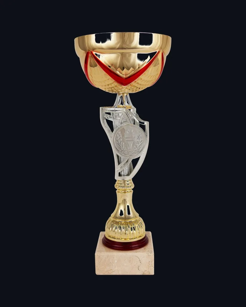 Copa Tricolor - Vista principal