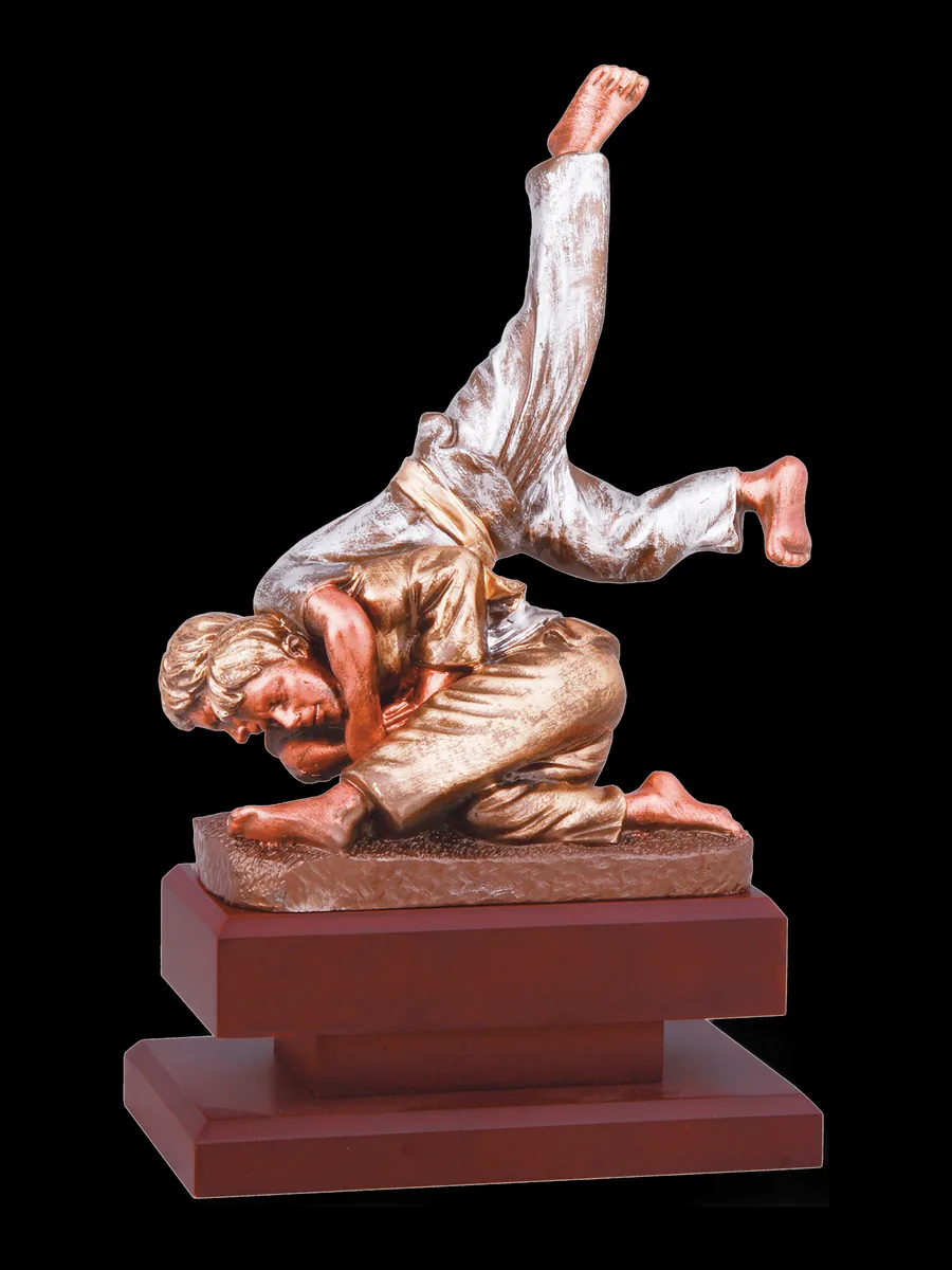 Jugador de judo doble - Vista principal