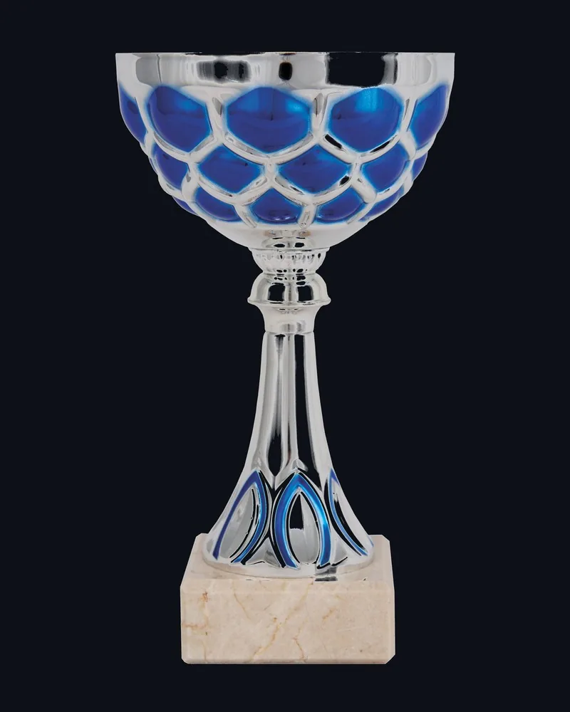 Trofeo Hoja Azul y Plata - Vista principal
