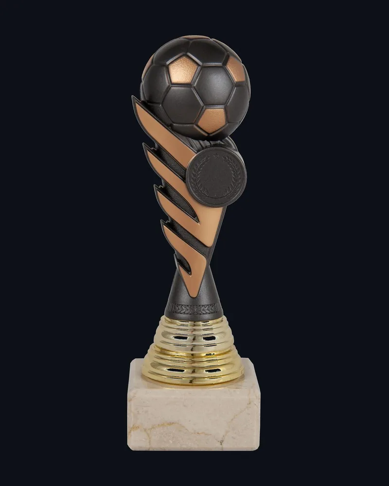 Trofeo Balón de Fútbol Portadiscos - Vista principal