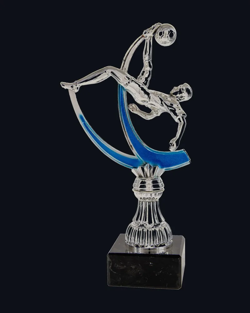 Trofeo Futbolista Chilena Azul - Vista principal